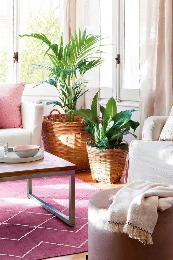 728d0689ba55c33560a0b146f83338b9 decorar con plantas naturales en salon