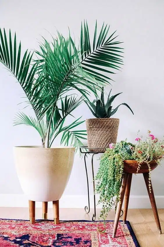 98eab443f2f9848a8095b0b0a84334aa decorar con plantas tu casa