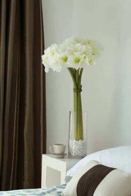 flores frescas decoración verano