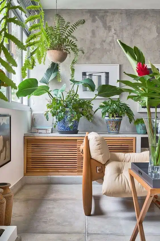 plantas decoracion decoración otoño