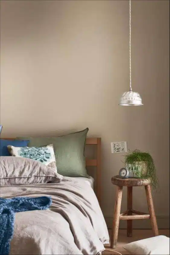 brave ground colores decoración 2021